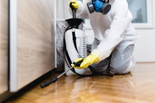 Best Pest Inspection Near Me  in Box Elder, SD