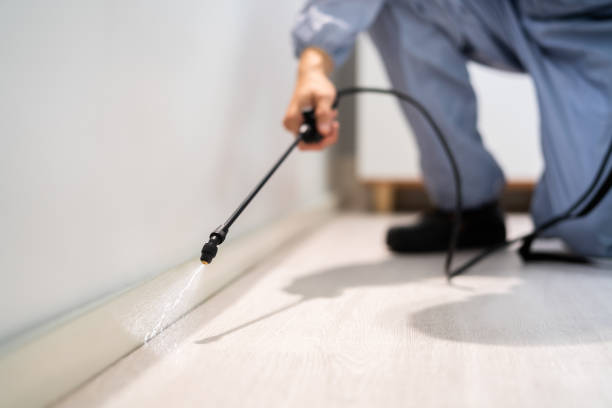Flea Control Services in Box Elder, SD