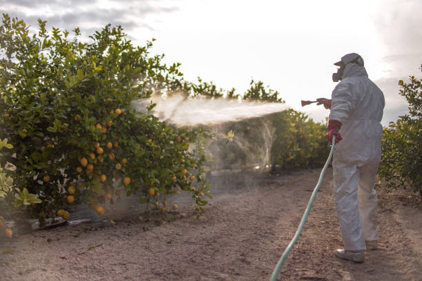 Professional Pest Control in Box Elder, SD