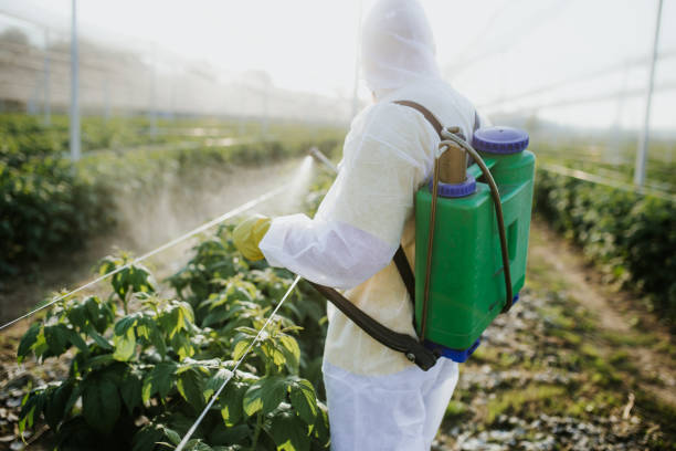 Best Pest Prevention Services  in Box Elder, SD